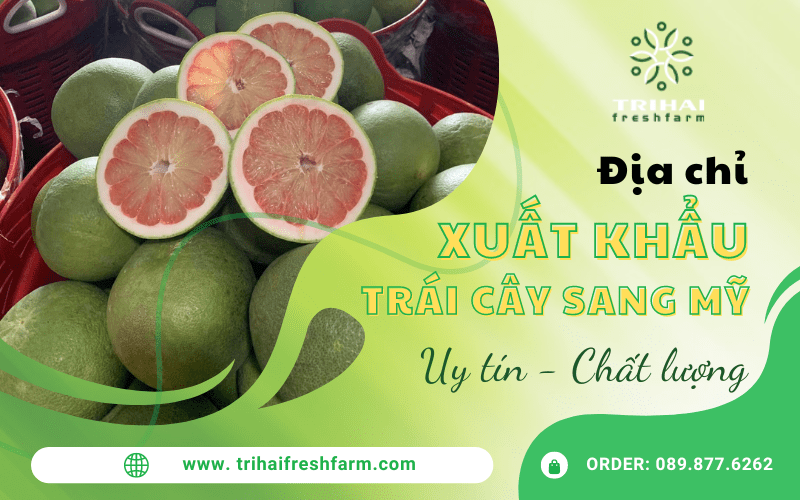 trái cây xuất khẩu