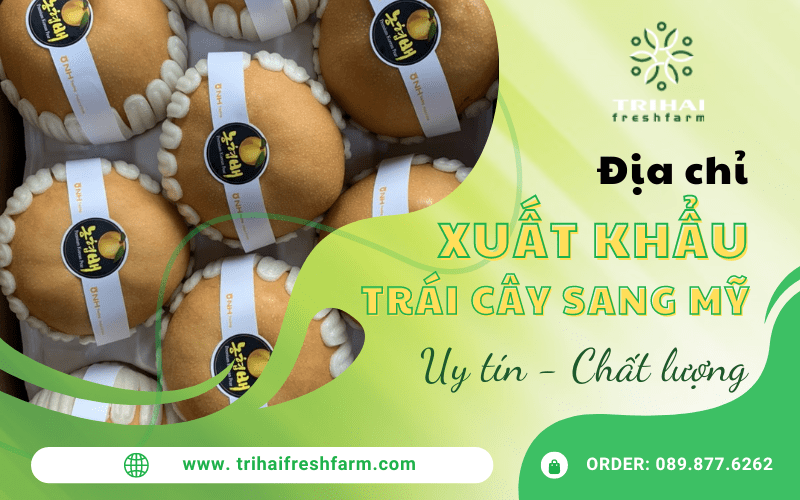 trái cây xuất khẩu