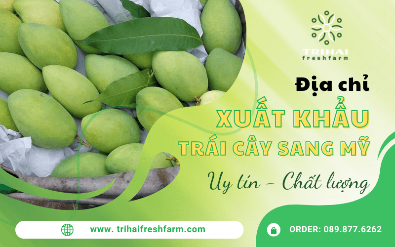 trái cây xuất khẩu