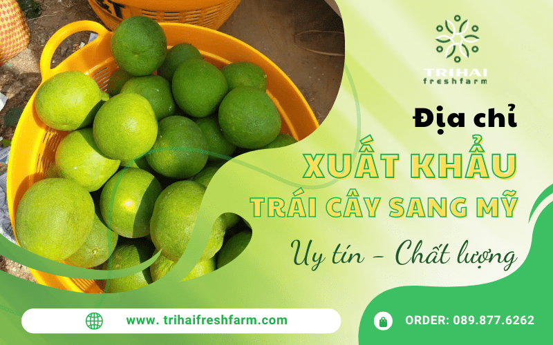 trái cây xuất khẩu