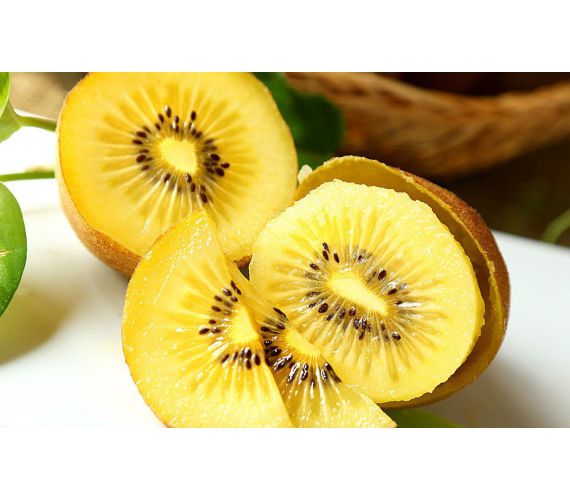 Kiwi vàng loại 1